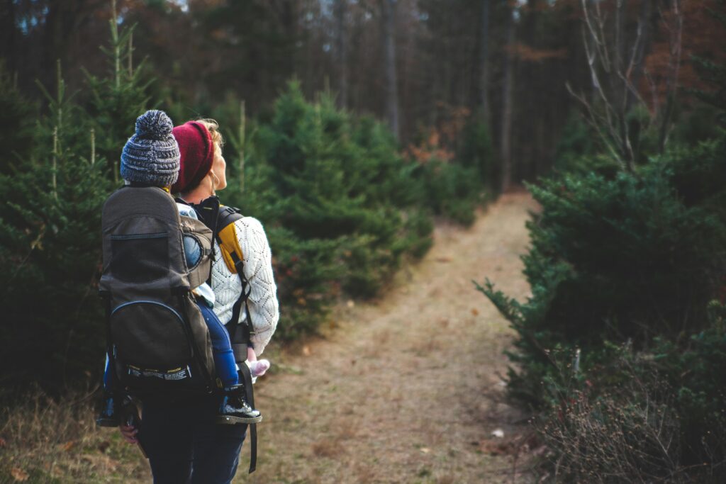 Balade en forêt 